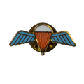British Army Parachute Regiment Lapel Pin - British Army Surplus - Flags, Badges & Insignia
