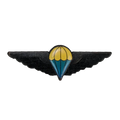 Ciskei Defence Force (CDF) Parachute Wing - Basic Badge, Item 2 - Army & Outdoors - Flags, Badges & Insignia