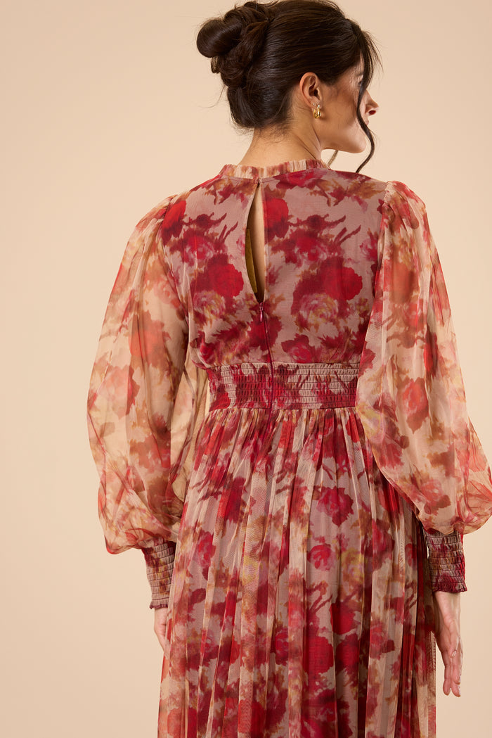 Comet Long Sleeve Tulle Maxi Dress in Rose Floral