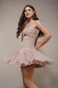 Theodora Tulle Mini Dress in Blush