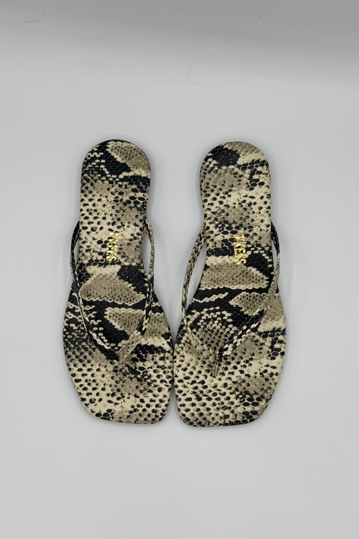 Tkees Square Toe Exotics Sandsnake