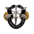 US Army Special Forces ("Green Berets") 1st Regiment Badge - US Army Surplus - Flags, Badges & Insignia